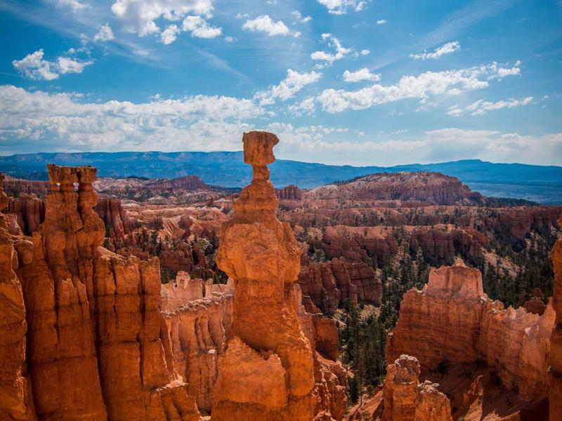 sudoku puzzle generator