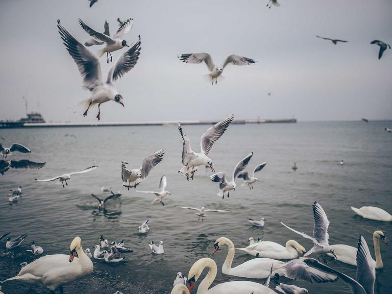 sudoku challenge mode screenshot 6